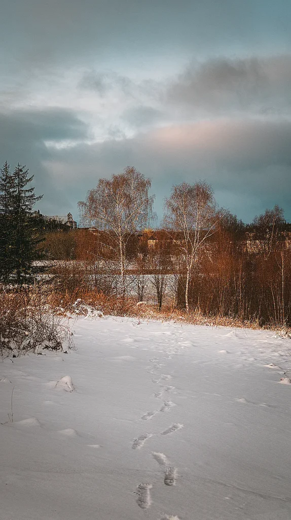 50 Festive December Wallpapers to Brighten Your Screen