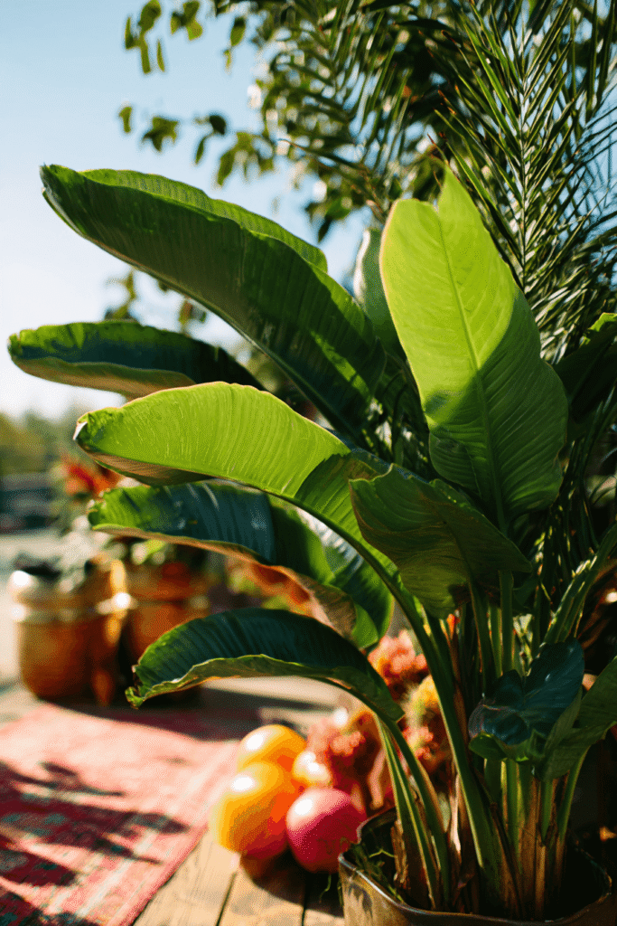 27 Luxury Wedding Arch Ideas for a Glamorous Ceremony A vibrant tropical leaf arch with lush greenery and modern West Elm-inspired decor elements, featuring bright textures and organic shapes in a bold, refreshing natural setting.